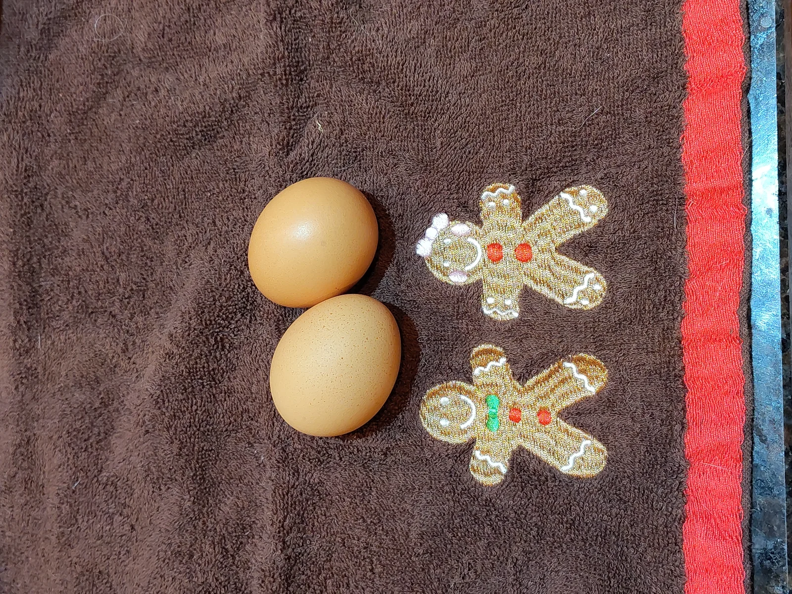 Two eggs sitting on a gingerbread-patterned kitchen towel before microwave experiment